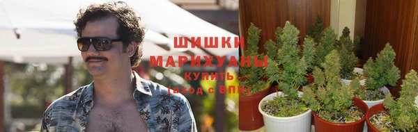 ALPHA PVP Аркадак