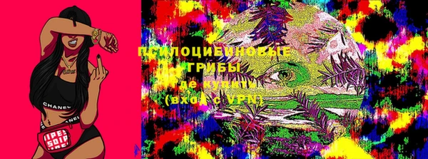 гашик Арсеньев