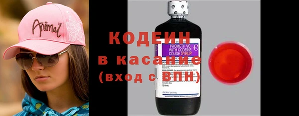 гашик Арсеньев