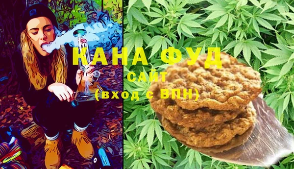гашик Арсеньев