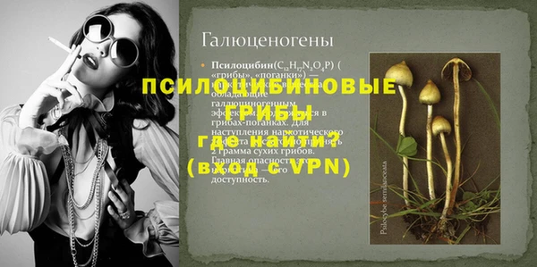 гашик Арсеньев